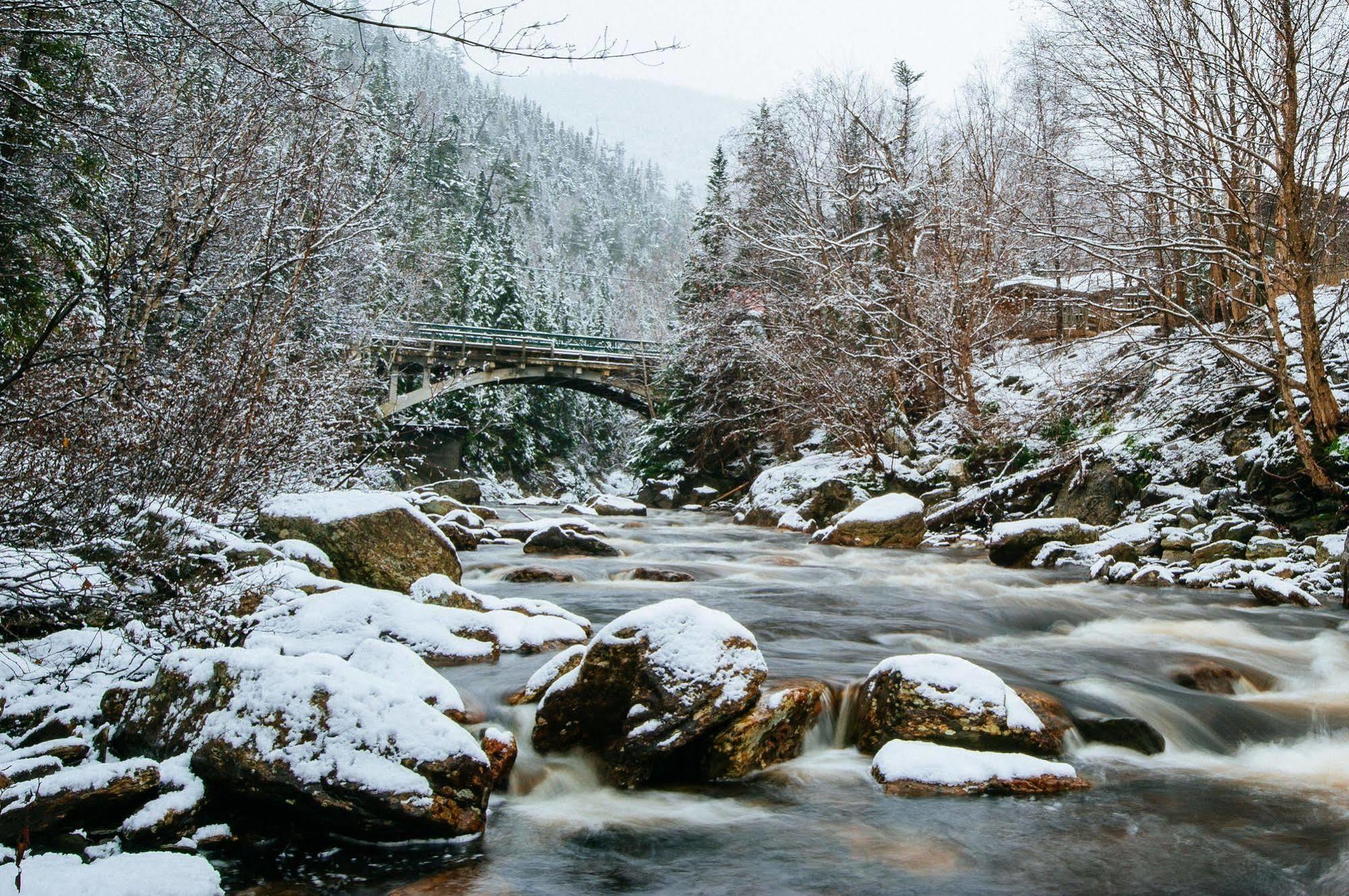 Marblewood Village Resort Steady Brook Zewnętrze zdjęcie
